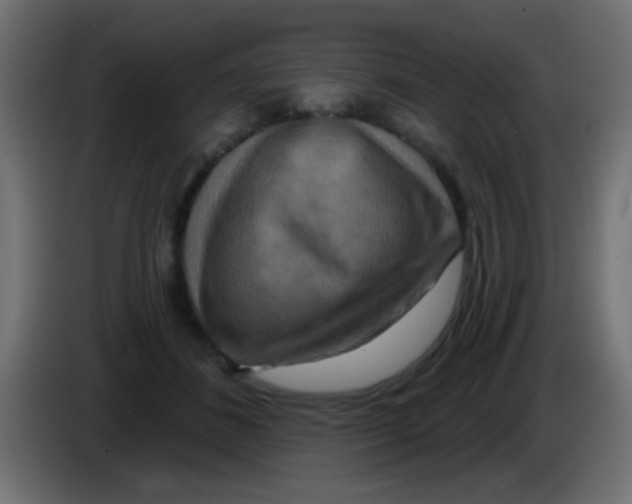 X0000083050508200703022114