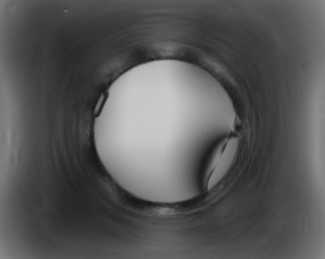 X0000083050509200703022114