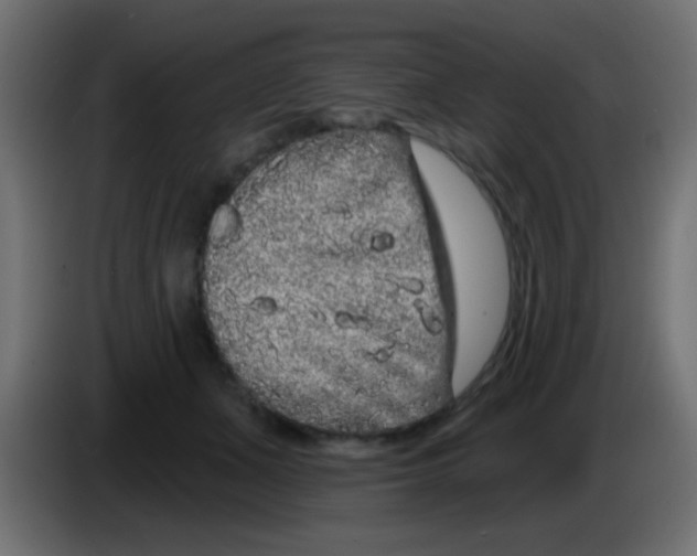 X0000083050511200703022114