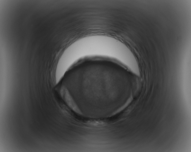 X0000083050512200703022114