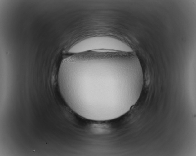 X0000083050515200703022114