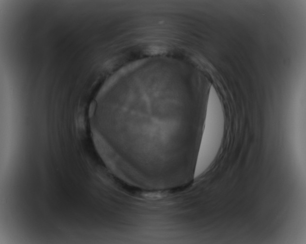 X0000083050516200703022114