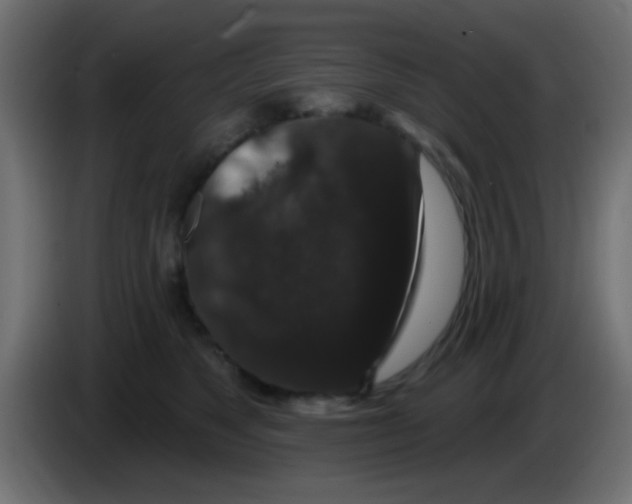 X0000083050517200703022114