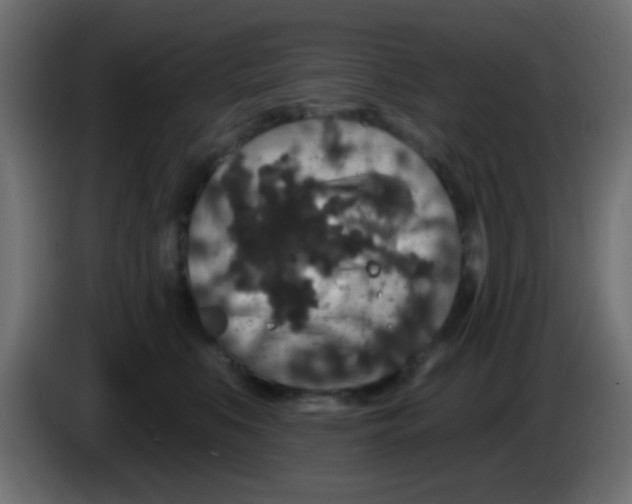 X0000083050519200703022114