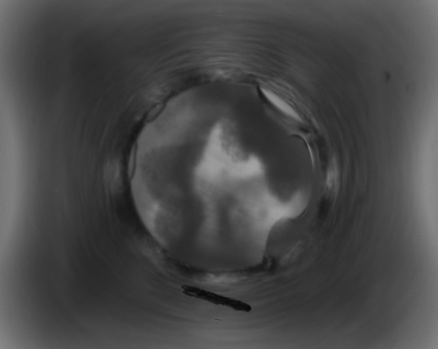 X0000083050520200703022114