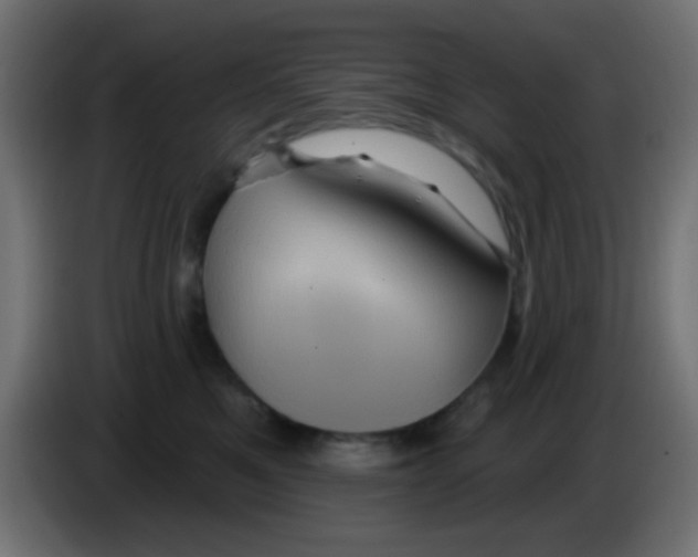 X0000083050521200703022113