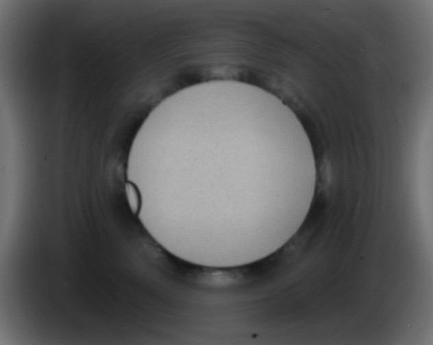 X0000083050522200703022113