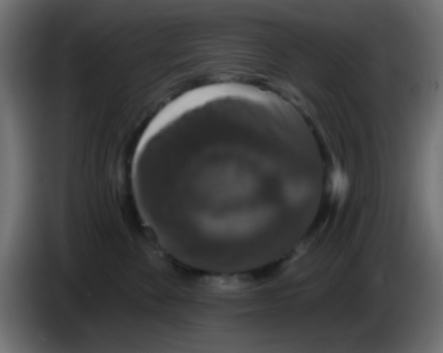 X0000083050524200703022113