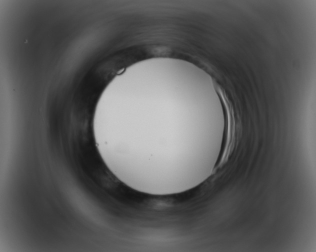 X0000083050525200703022113