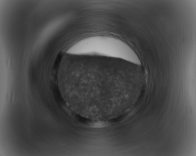 X0000083050527200703022113