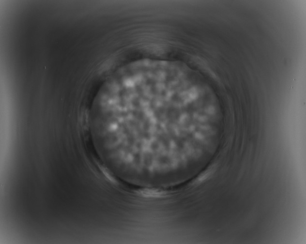 X0000083050528200703022113