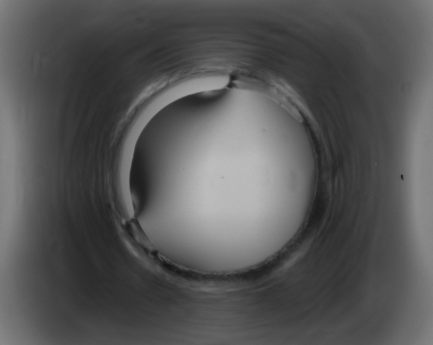 X0000083050530200703022113