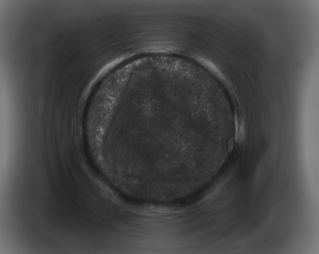 X0000083050531200703022113