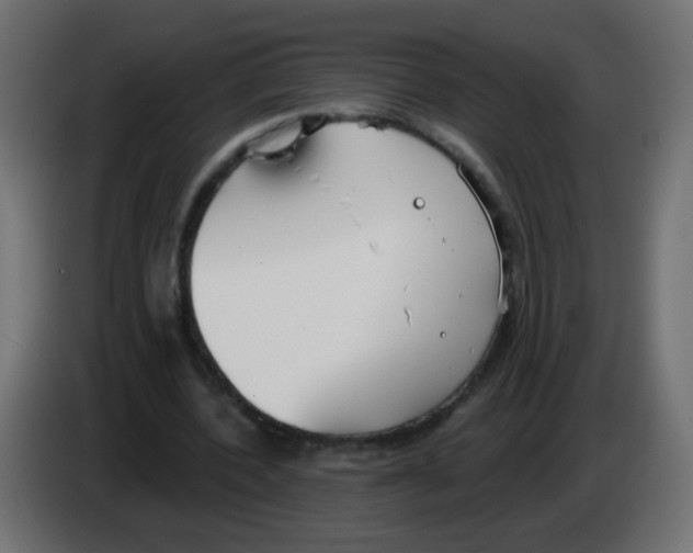 X0000083050532200703022113