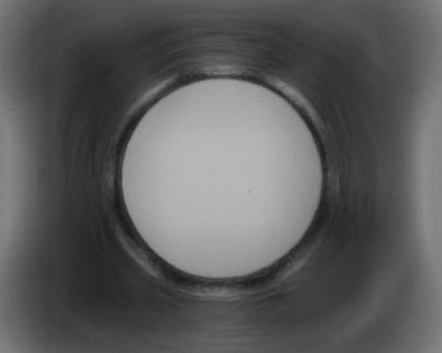 X0000083050533200703022113