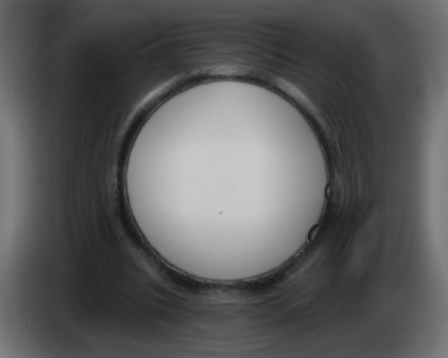 X0000083050535200703022113