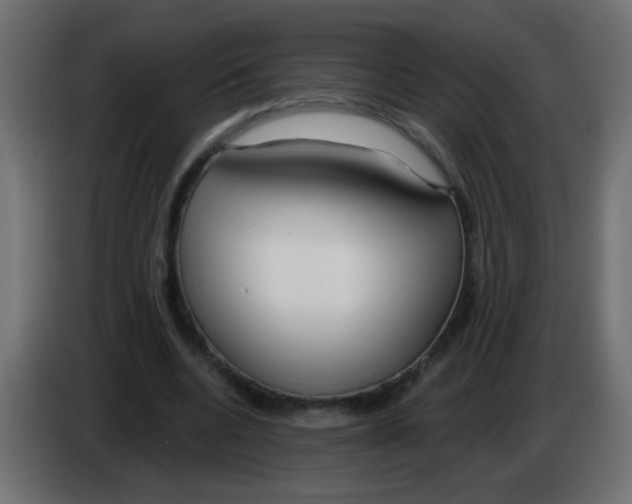 X0000083050536200703022113