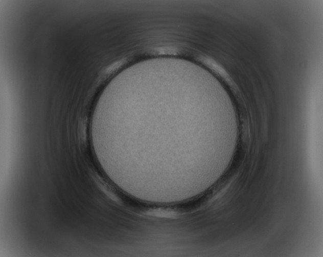 X0000083050537200703022113