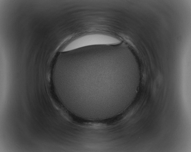 X0000083050539200703022113