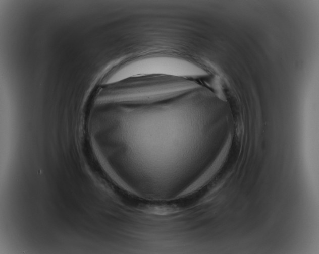 X0000083050540200703022113