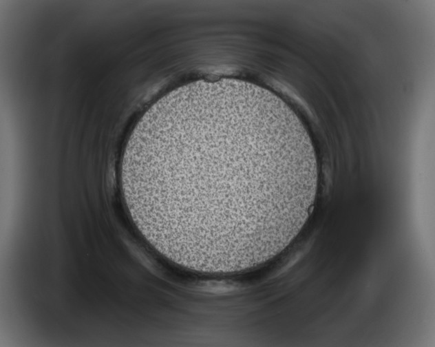 X0000083050541200703022113