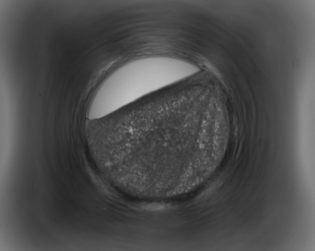 X0000083050542200703022113