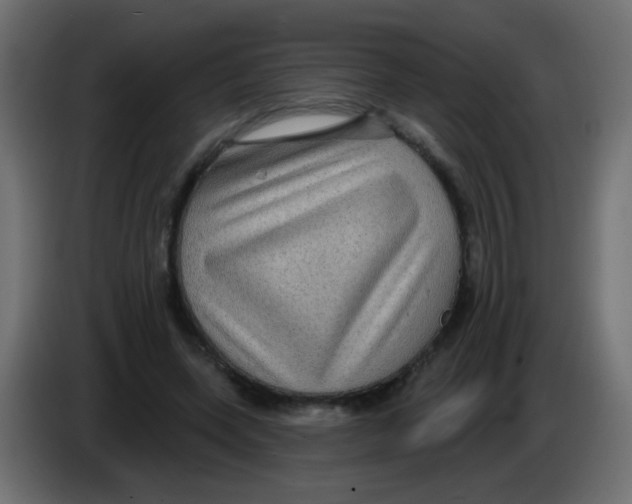 X0000083050543200703022113