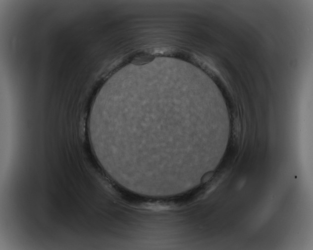 X0000083050545200703022113