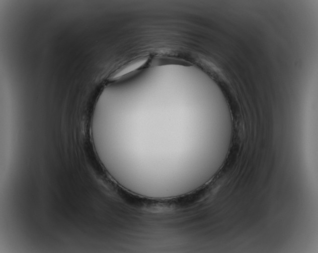 X0000083050546200703022113