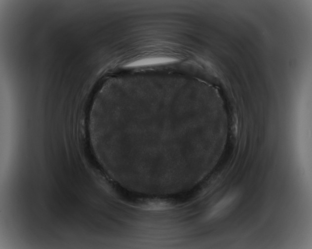 X0000083050547200703022113