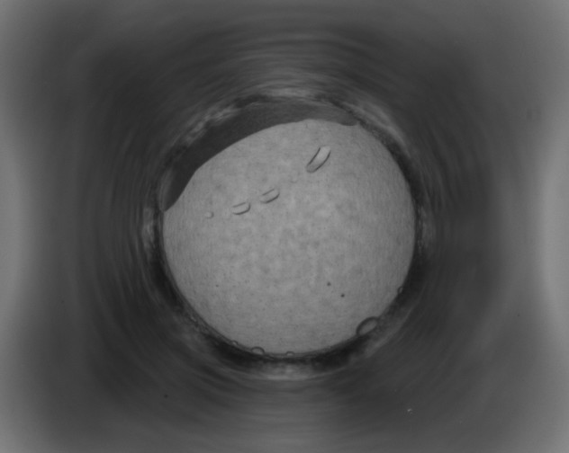 X0000083050549200703022113