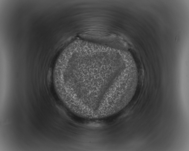 X0000083050550200703022113