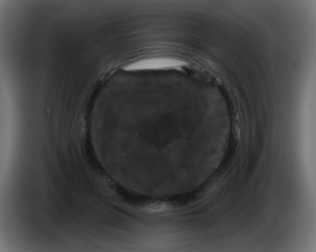 X0000083050551200703022113