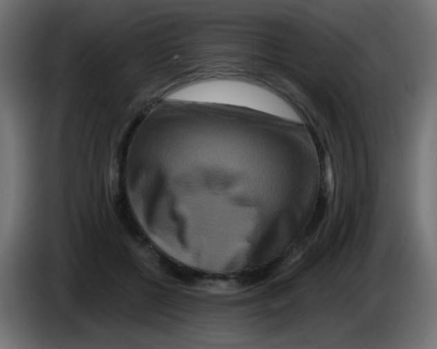 X0000083050552200703022113