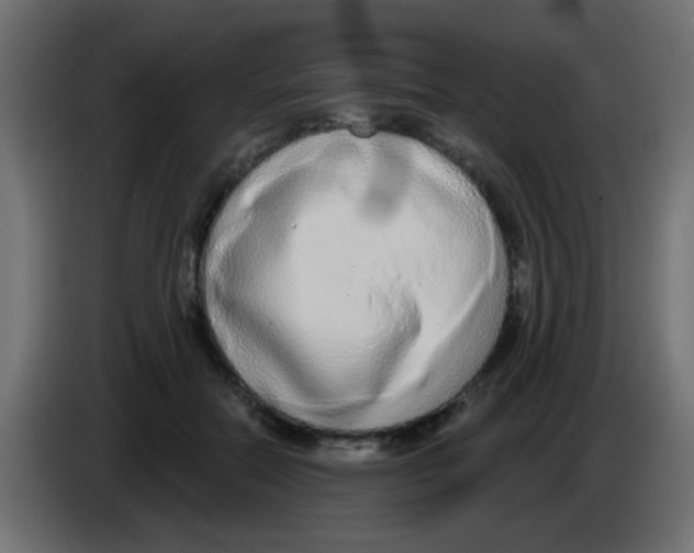 X0000083050554200703022113