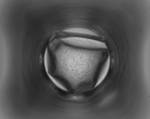 X0000083050555200703022113