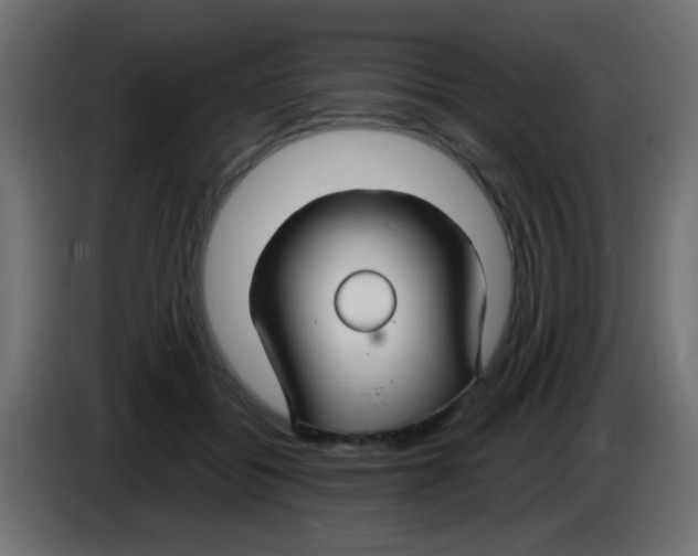 X0000083050556200703022113