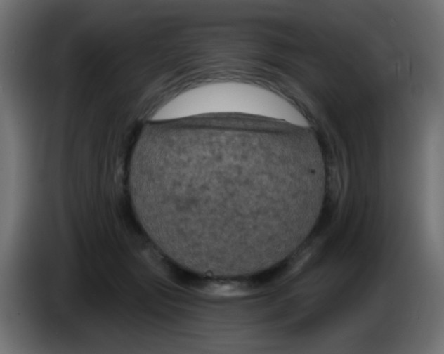 X0000083050557200703022113