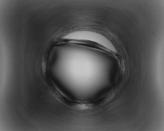 X0000083050558200703022113