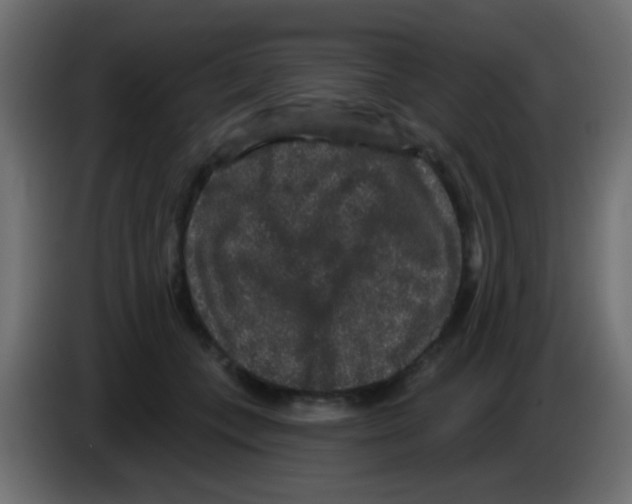 X0000083050559200703022113