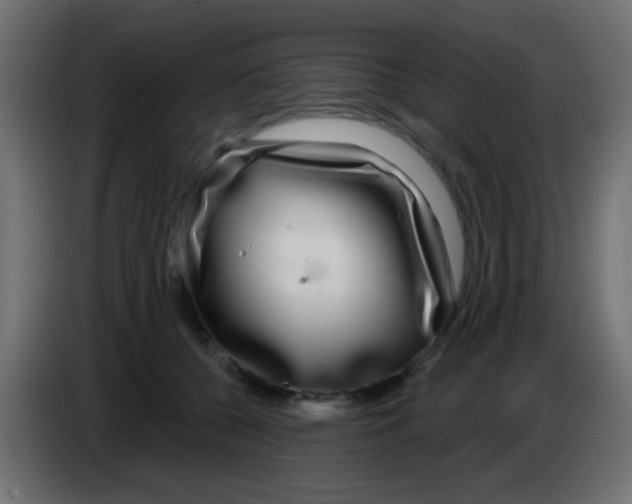 X0000083050560200703022113