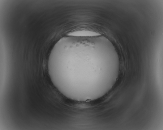 X0000083050561200703022113