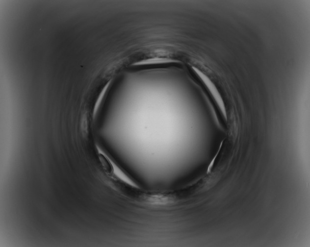 X0000083050562200703022113