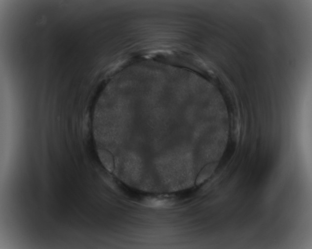 X0000083050563200703022113