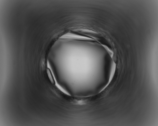 X0000083050564200703022113