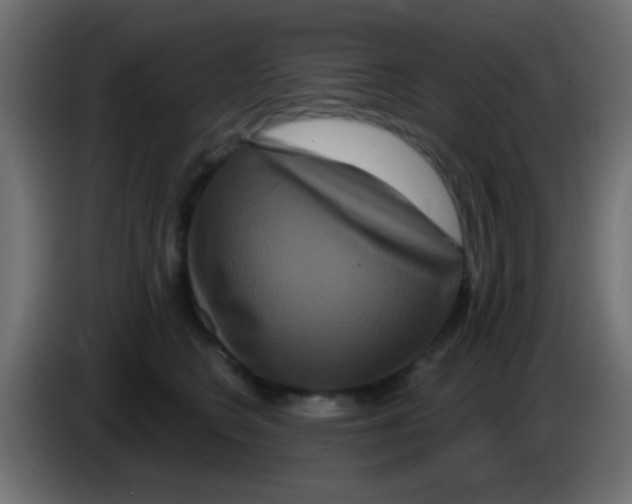 X0000083050566200703022113