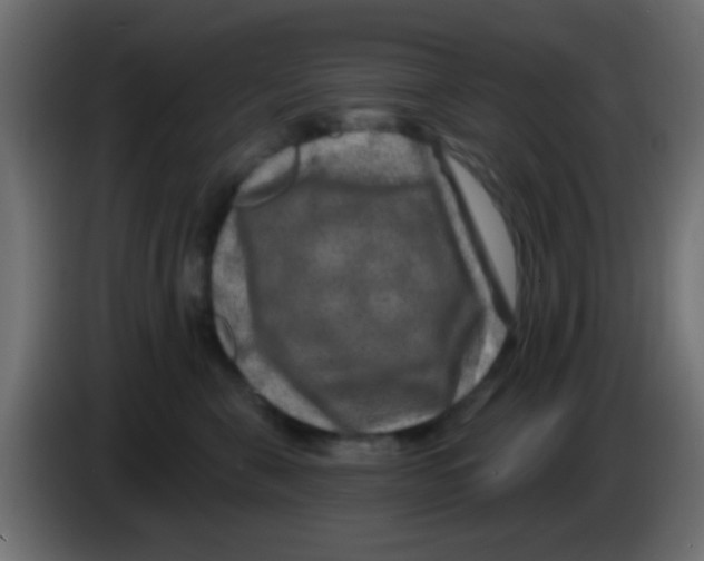 X0000083050571200703022113