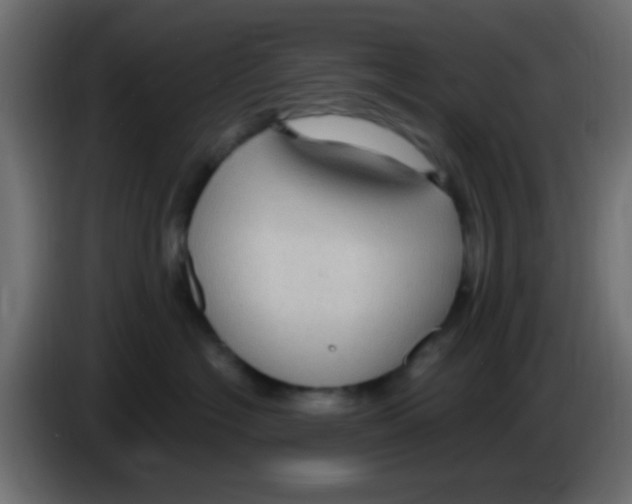 X0000083050574200703022113