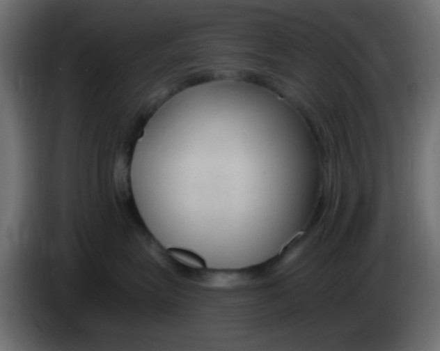 X0000083050575200703022113