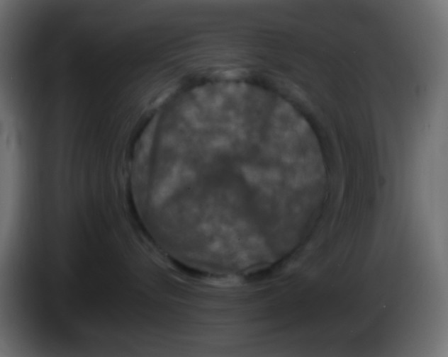 X0000083050576200703022113